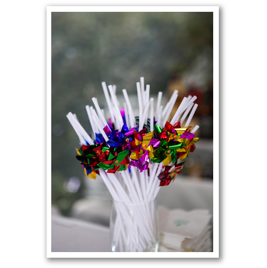 Janet Dunnington Vermont Destination Weddings