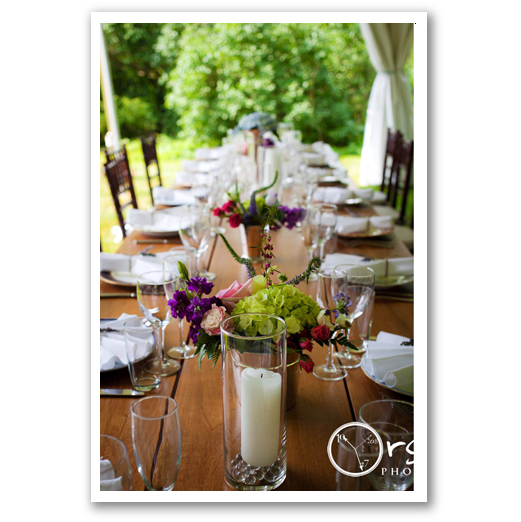 Janet Dunnington Vermont Destination Weddings