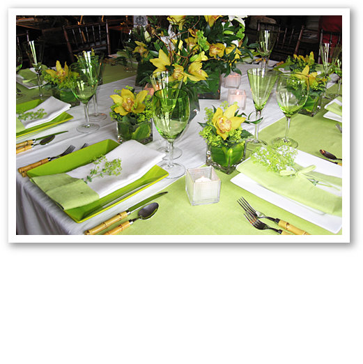 Janet Dunnington Vermont Destination Weddings