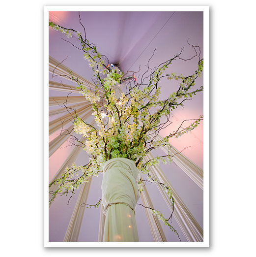 Janet Dunnington Vermont Destination Weddings