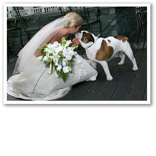 Janet Dunnington Vermont Destination Weddings