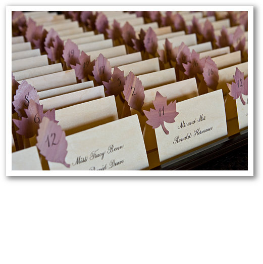 Janet Dunnington Vermont Destination Weddings