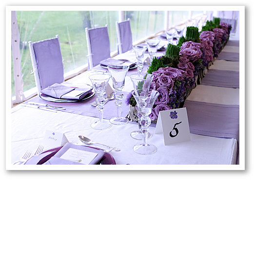Janet Dunnington Vermont Destination Weddings