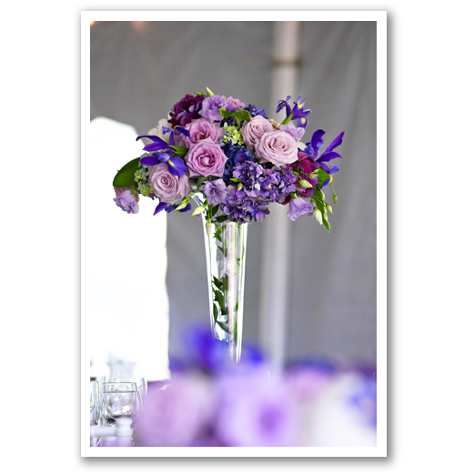 Janet Dunnington Vermont Destination Weddings