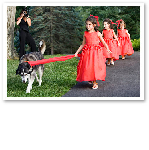 Janet Dunnington Vermont Destination Weddings