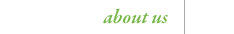 About Janet Dunnington Destination Weddings